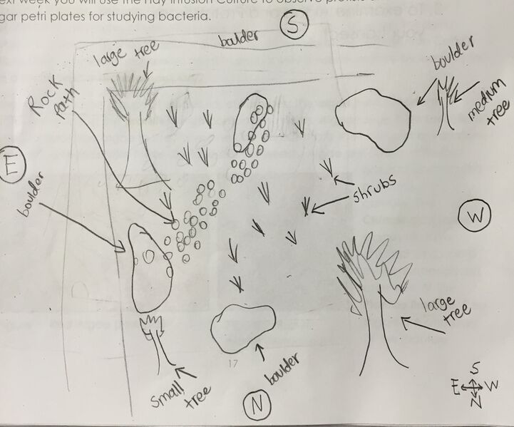 File:Harry's Transect Photo.jpg