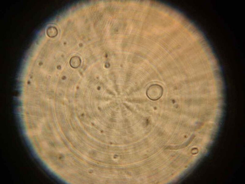 File:IC07 image137.jpg