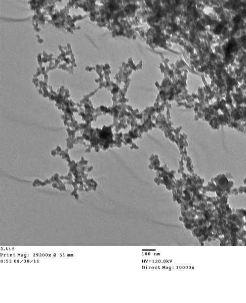 File:Phage SWNTs TiO2 2.tif