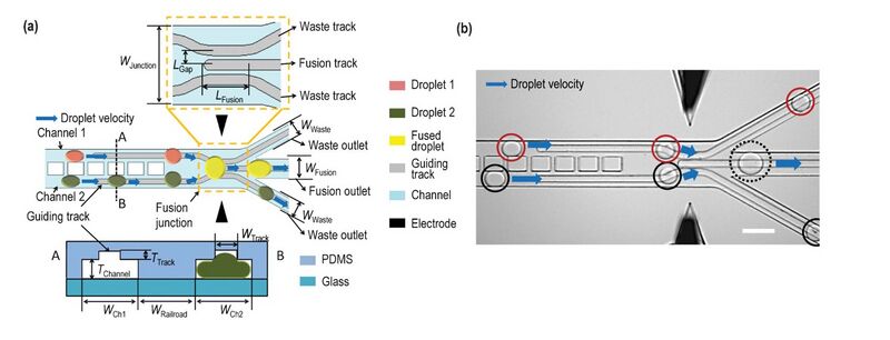 File:Railroad channels.jpg