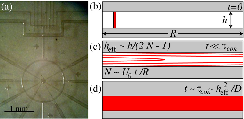 File:Ricardo img3.png