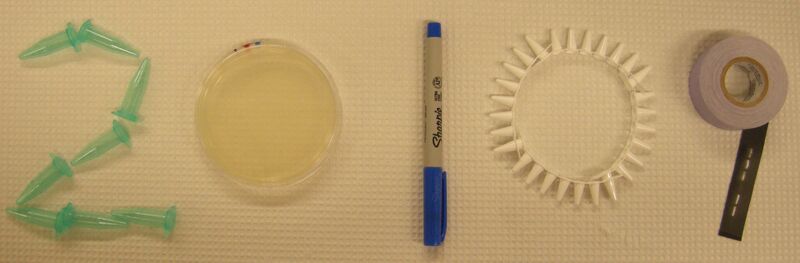 File:20.109(S12) frontpg.JPG