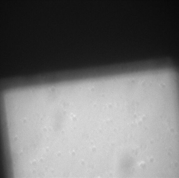 File:200 micrometer squares 40x air.jpg