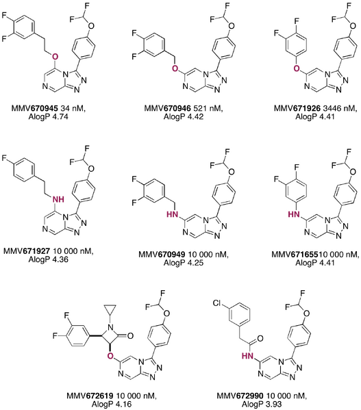 File:AEW Wiki2 series 4.png