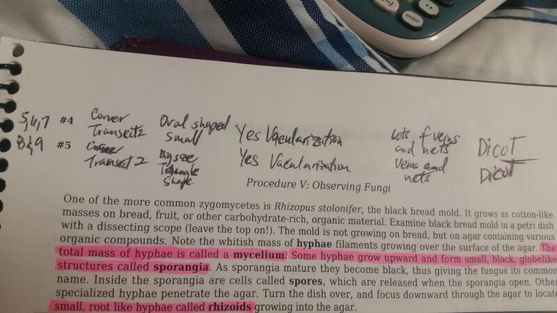 File:IMG table1pic2.jpg