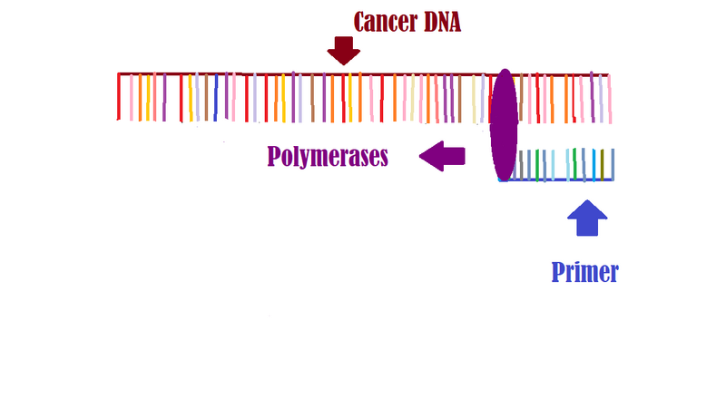File:Lab A Bonus Diagram.png