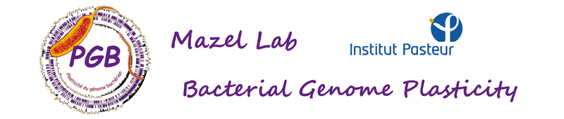 Bacterial Genome Plasticity