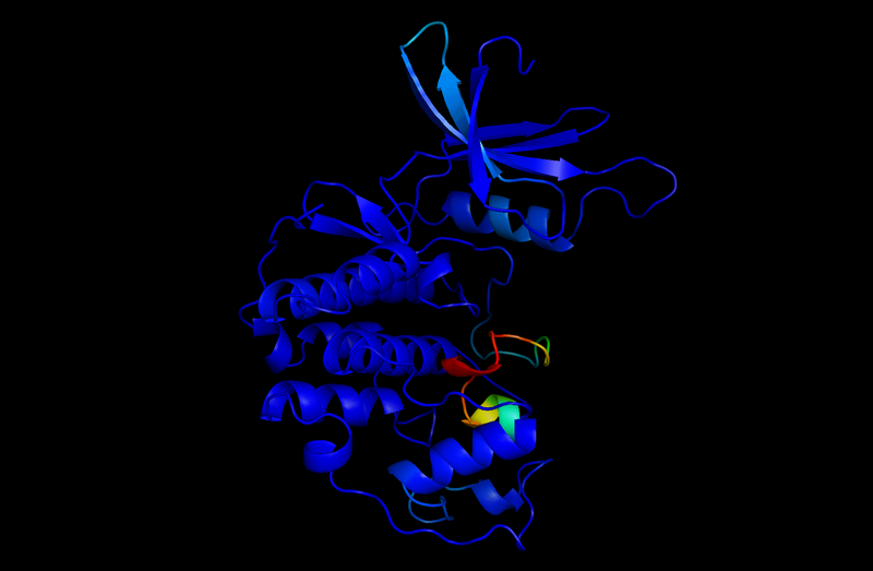 File:Pkinase phos prop.png