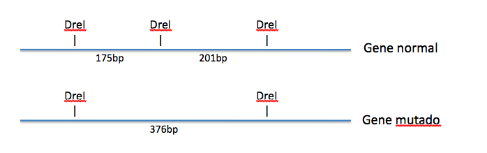 File:2010 TP6 3Asw.tiff
