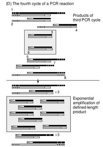 Description of image