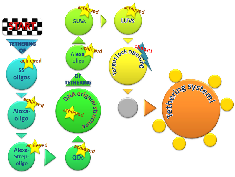File:BM12 nanosaurs Path.png