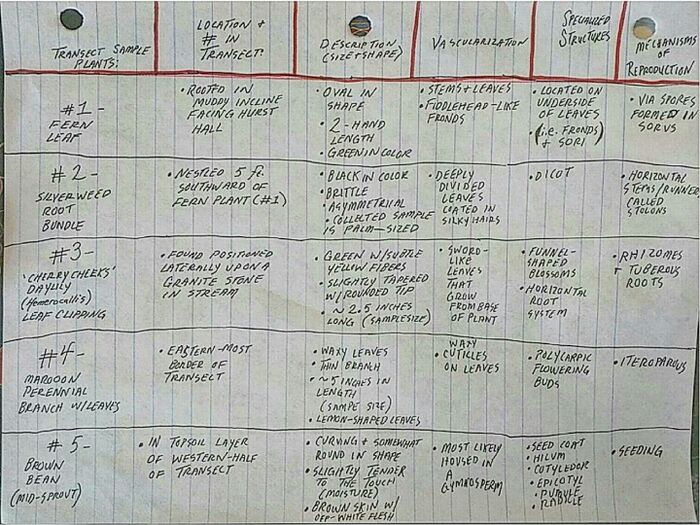 classification chart