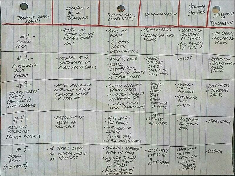File:BME103 Group44 AUBIO210.jpg
