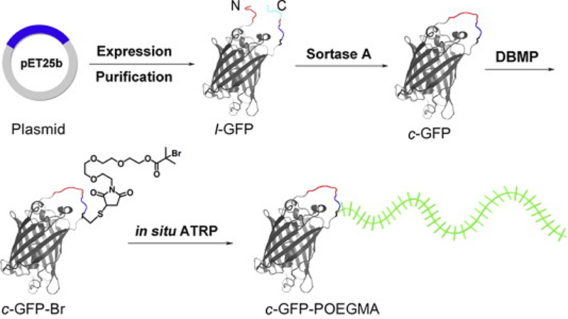 File:Biomaterials2015 1 1.png