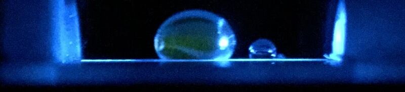 File:Calibration 0.25.png