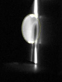 Middle Concentration