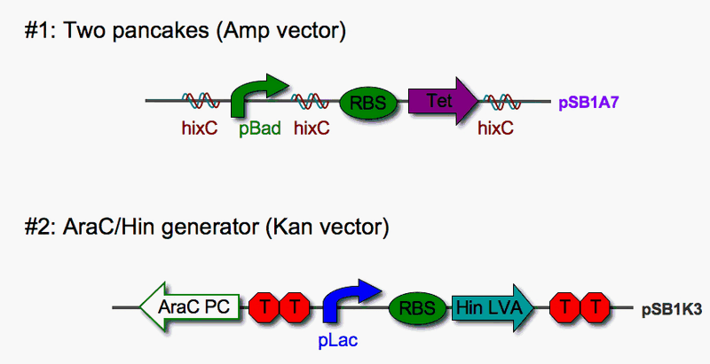 File:Pancakes noTT.gif