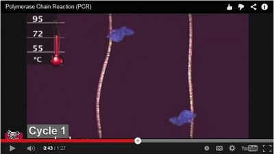 Description of image