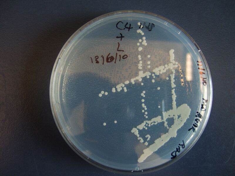 File:180610 am (3).JPG