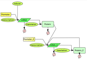 Mystery Device Network