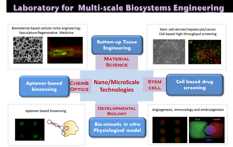 File:Research direction.png