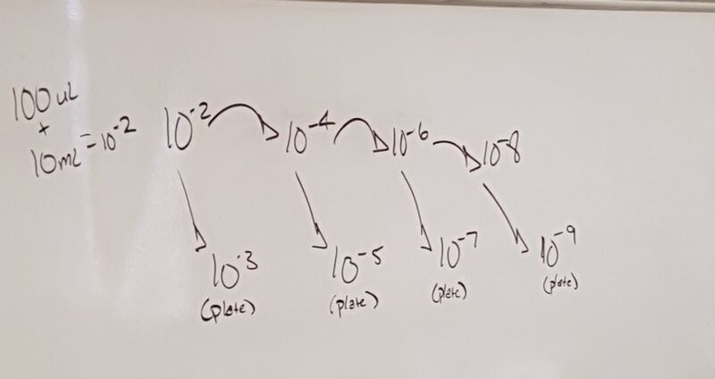 File:20160120 132918.jpg