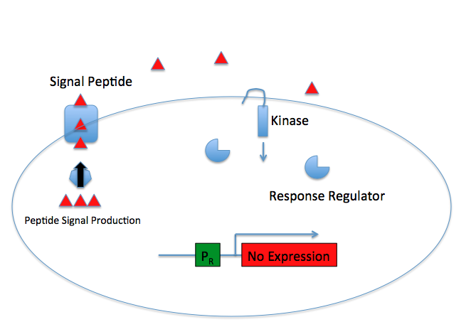 Gram-positive QS System - Off