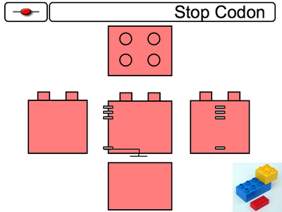 Repressed Promoter Component