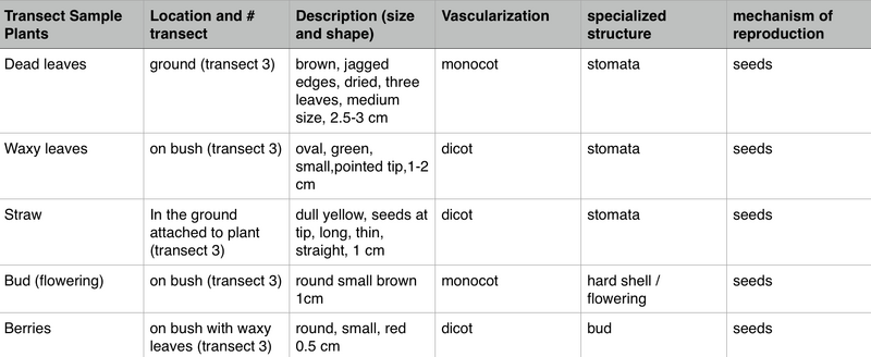 File:Screen Shot 2016-02-11 at 12.15.09 AM