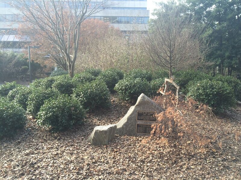 File:Transect 3 2.JPG