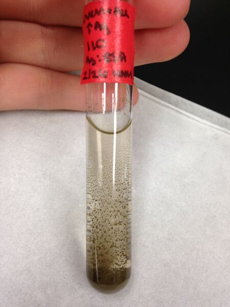 File:110, oven + Au, iAg.jpg