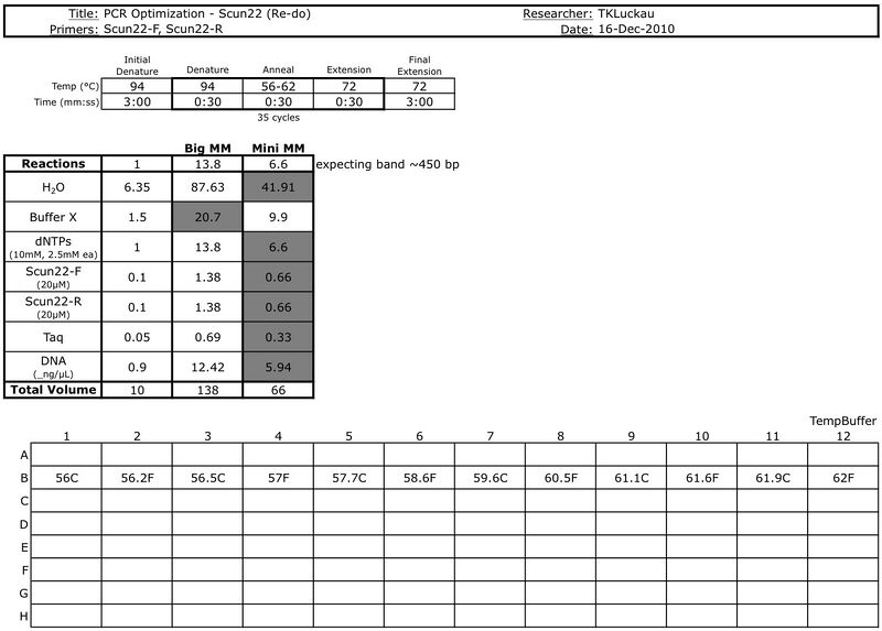 File:20101216 PCR.jpg