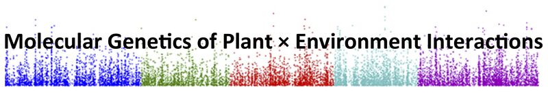 File:Alcazar Lab3.jpg