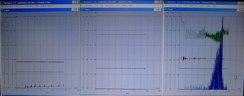 File:Fermentation profile 123.jpg