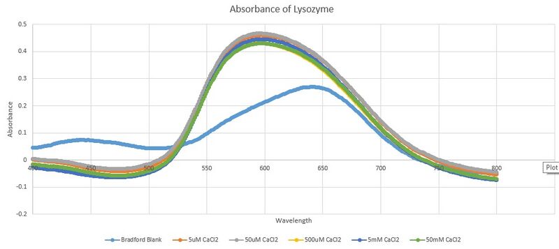 File:Graphic of Bradford Lysozyme.jpg