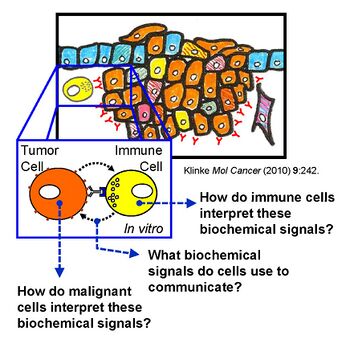 Schematic diagram of research program.