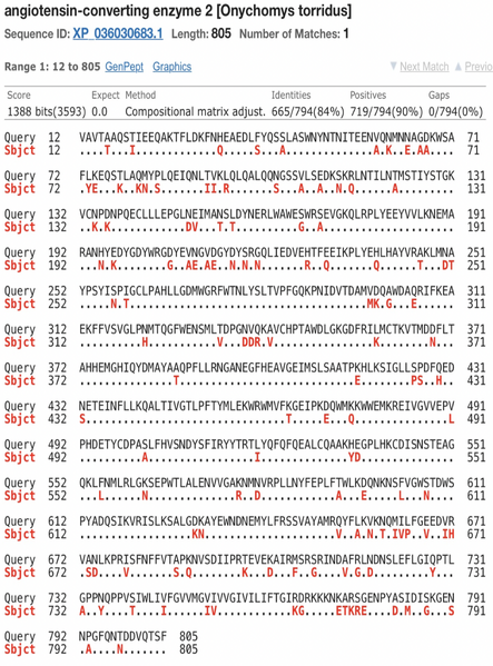 File:Makela Southern Grasshopper Mouse.png