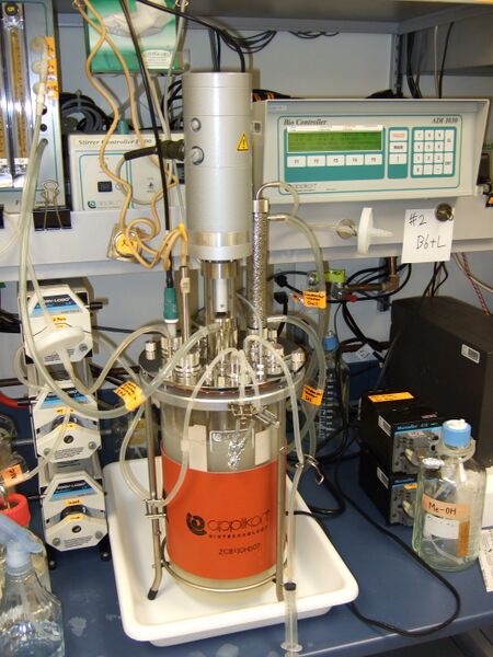 File:240710 Sat (+1)b.JPG