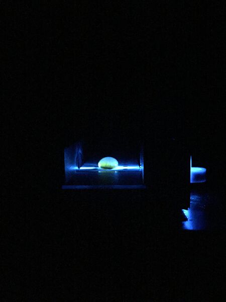 File:High Concentration 5.JPG