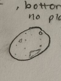 Description of image