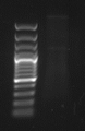 Thumbnail for version as of 20:37, 29 November 2012