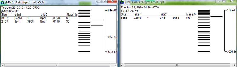 File:Untitled picture3.png