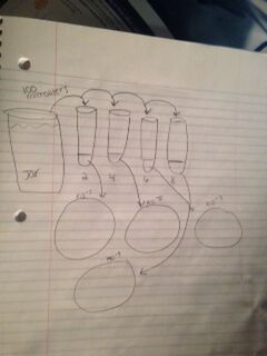 File:--Image-Dilution1.png--