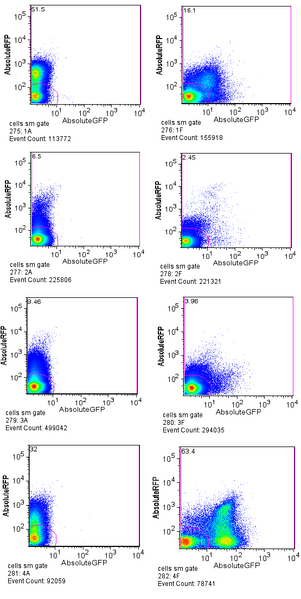 File:July20 2006 Q04740.png