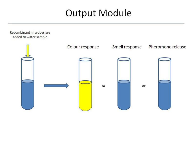 File:Output module.JPG