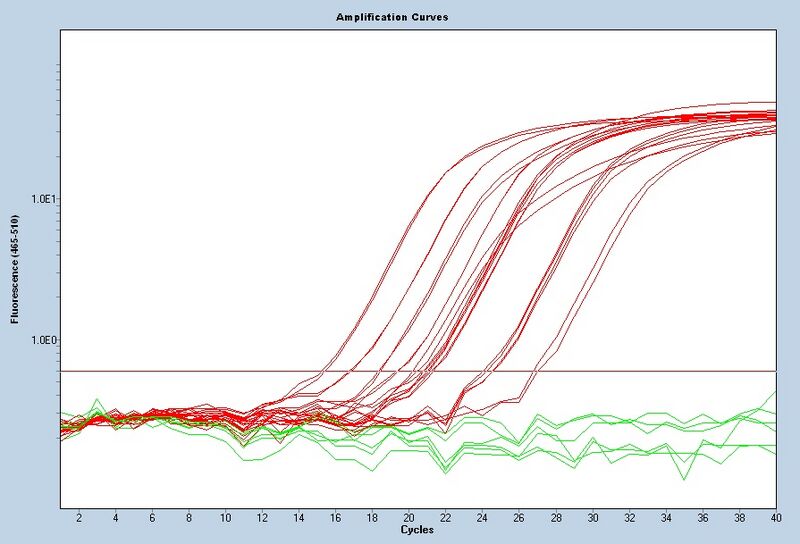 File:S12 M3D5 WF CNI-noiseband.jpg