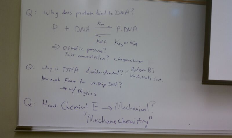 File:MTC Questions about protein-DNA.jpg