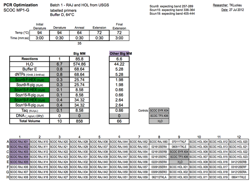 File:20120727 PCR.png