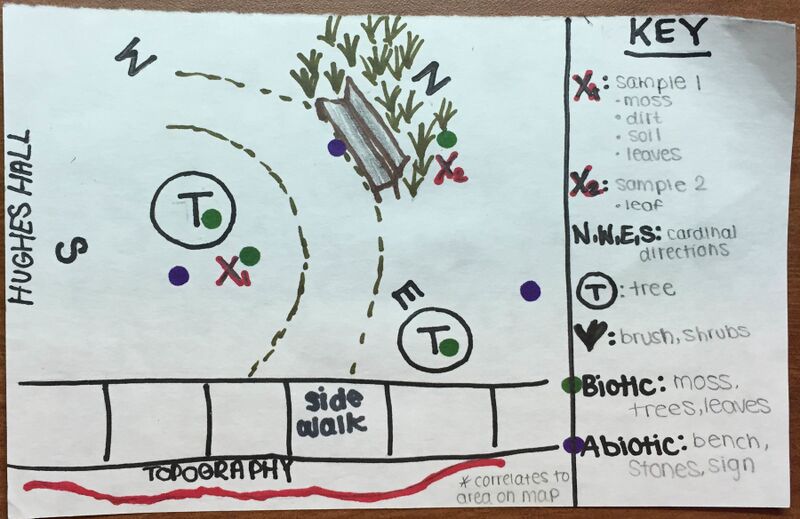 File:Transect Map Area2.jpg