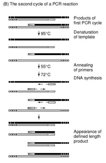 Description of image